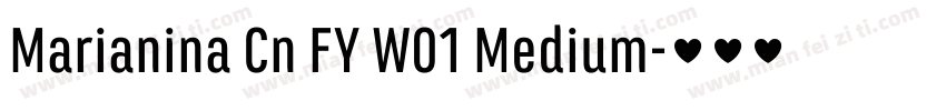 Marianina Cn FY W01 Medium字体转换